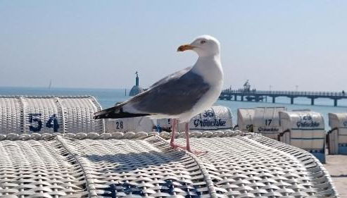 Wohnung Nr 2 - a70207 - Foto 3