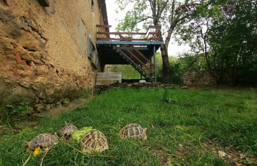 Gîte du Fassac - Foto 10