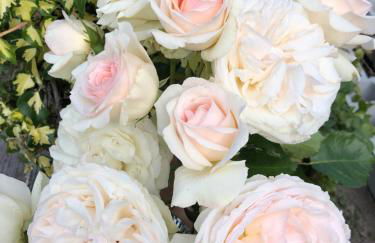 Molino Felix Alojamiento Rurales - Foto 30