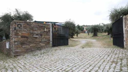 Quinta dos Avidagos AgroTurismo Mirandela - Foto 5
