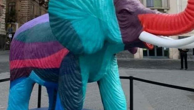 Elefante multicolore