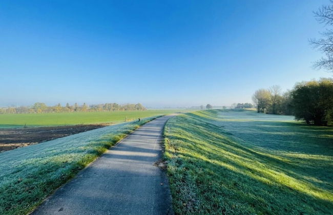 Holiday Home Chalet 79 - Photo 15