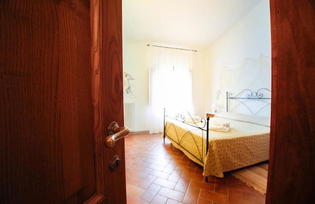 Gatto Bianco Tizzauli - Foto 16