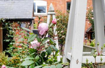 Romantic Cotswold Cottage- dog friendly and village location - Photo 16