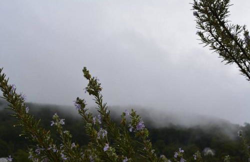 Casa La Peguera - Photo 30