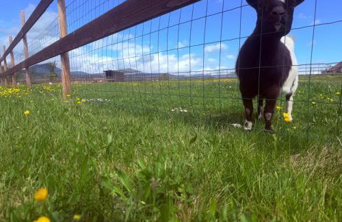 L'Etoile du Vignoble Meublé de Tourisme 4 étoiles au cœur d'un ranch alsacien sur la route des Vins - Climatisé - Foto 4