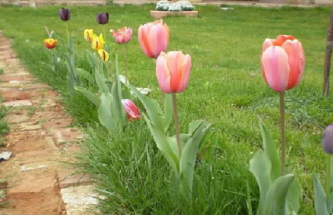 Casa Isabella - Foto 54