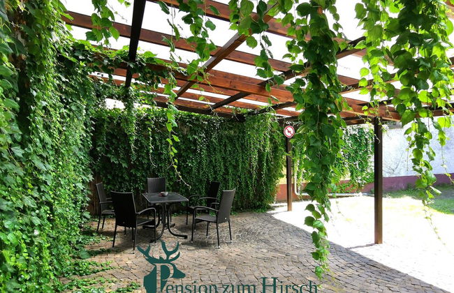 Hotel-Pension zum Hirsch - Foto 43