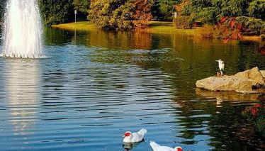 Appartamento Centrale vicino a Humanitas e Forum Assago - Photo 5