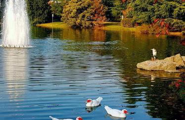 Appartamento Centrale vicino a Humanitas e Forum Assago - Photo 5