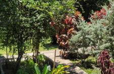 Sítio Com riacho particular em Cachoeira de Macacu - Foto 12