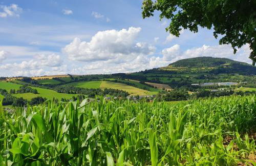 Ferienwohnung "Waldzauber" - Foto 21