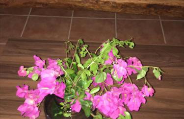 Farmers House - Foto 57