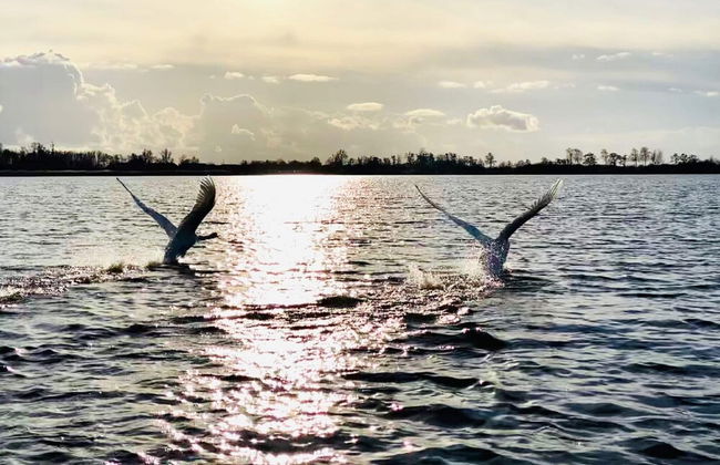 Cozy Holiday Home With Terrace - Photo 25