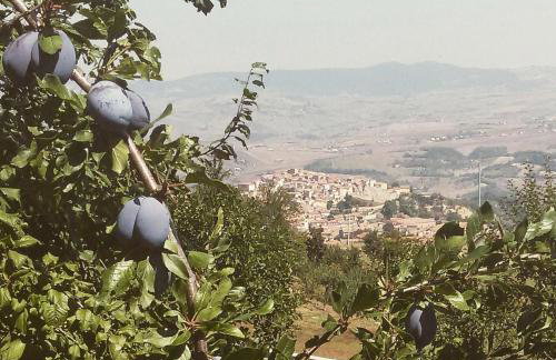 Agriturismo Il Regio Tratturo - Foto 41
