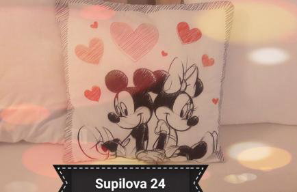 Mickey Mouse Supilova 24 - Foto 19
