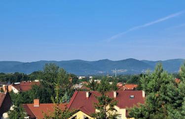 Noclegi Mieszkanie Kuchnia Żywiec - Foto 17