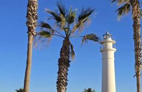 Wild Palms Apartment - Foto 48