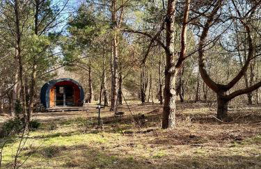 Leśna Sauna Wilcze Wzgórze - Foto 12