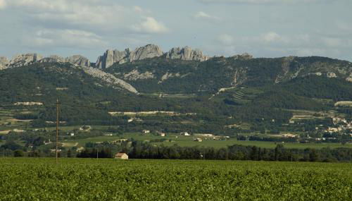 Le Mas O DI VIN - Foto 2