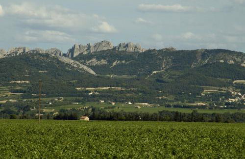 Le Mas O DI VIN - Foto 2