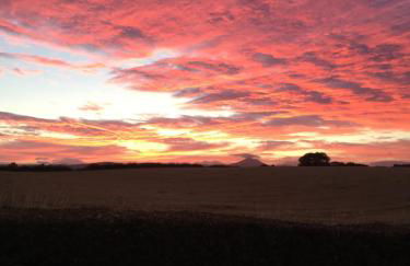 Garden Studio for Two - Foto 34