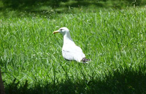 Parc Baie des Anges - Foto 72
