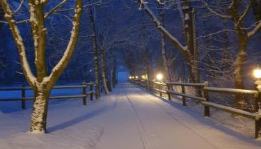 Ferienhof-Stoertebeker - Foto 5