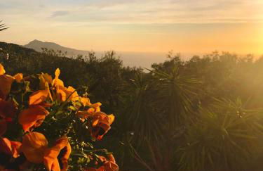 Maison Émilie - Foto 21