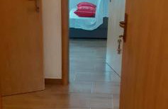 Kelk Loznati - Foto 6