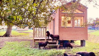 Jolie Tiny House sous les Grands Arbres - Photo 2