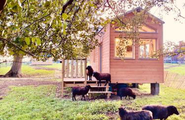 Jolie Tiny House sous les Grands Arbres - Photo 2