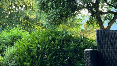 FeWo Dackelliebe - Natur - Ruhe - Komfort - Foto 3, Garden view