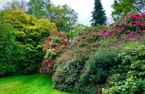 Treeside woodhouse - Foto 28