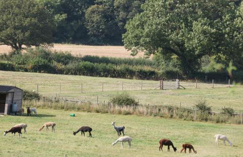 The BungalowBarlow - Foto 31