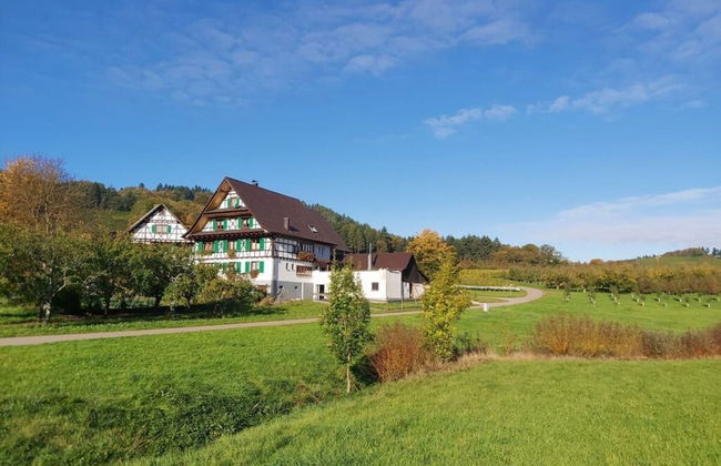 Fantastic Apartment in Oberkirch - Foto 19