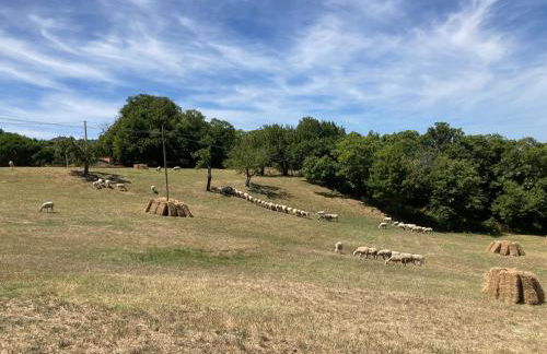 il peperino - Foto 28