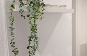 Design House alla Biennale - Foto 2