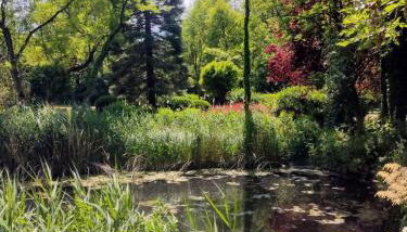 Chalet Forsthof Everstorf - Foto 5