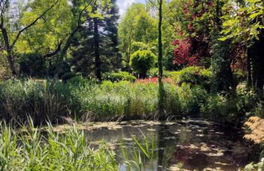 Chalet Forsthof Everstorf - Foto 5