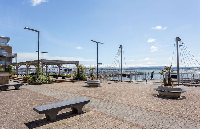 About Tern - Foto 26