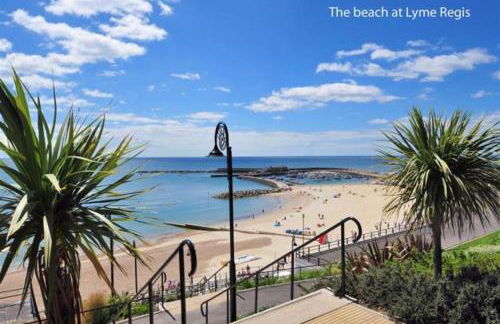 Little Monmouth 4 bedroom cottage, Old town Lyme Regis, dog friendly and parking - Photo 35