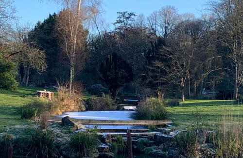 The Quackery - Foto 29