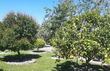 A CASA FRANCESA - Foto 15