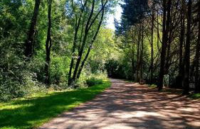 La canopée : séjour alliant culture, nature, sport - Foto 17