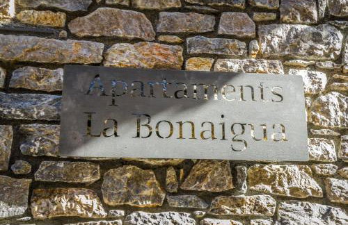 Apartaments La Bonaigua - Foto 44