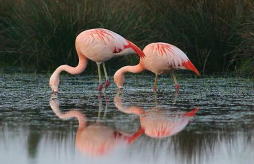 Ferienwohnung Am Moorbach - Foto 15