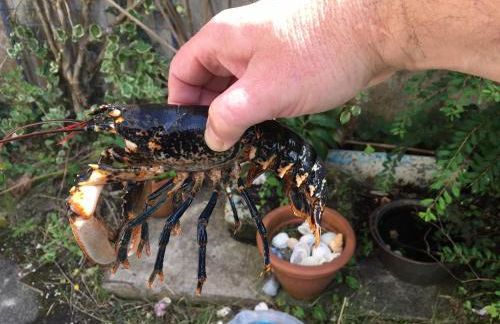 Mill Cottage - Foto 34