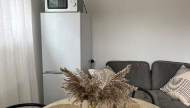 Ealing ,South Ealing, ,Richmond park ,Heathrow airport,Gunnesbury park,London - Foto 3