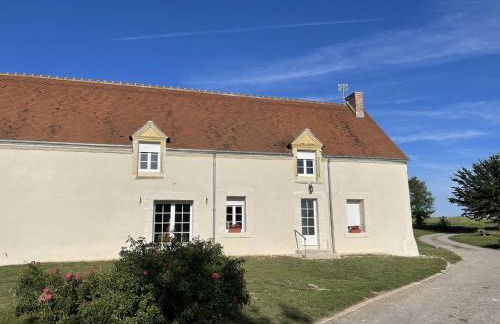 Les mimosas - Foto 20